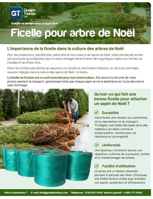 Christmas-Tree-Twine-French-Thumbnail